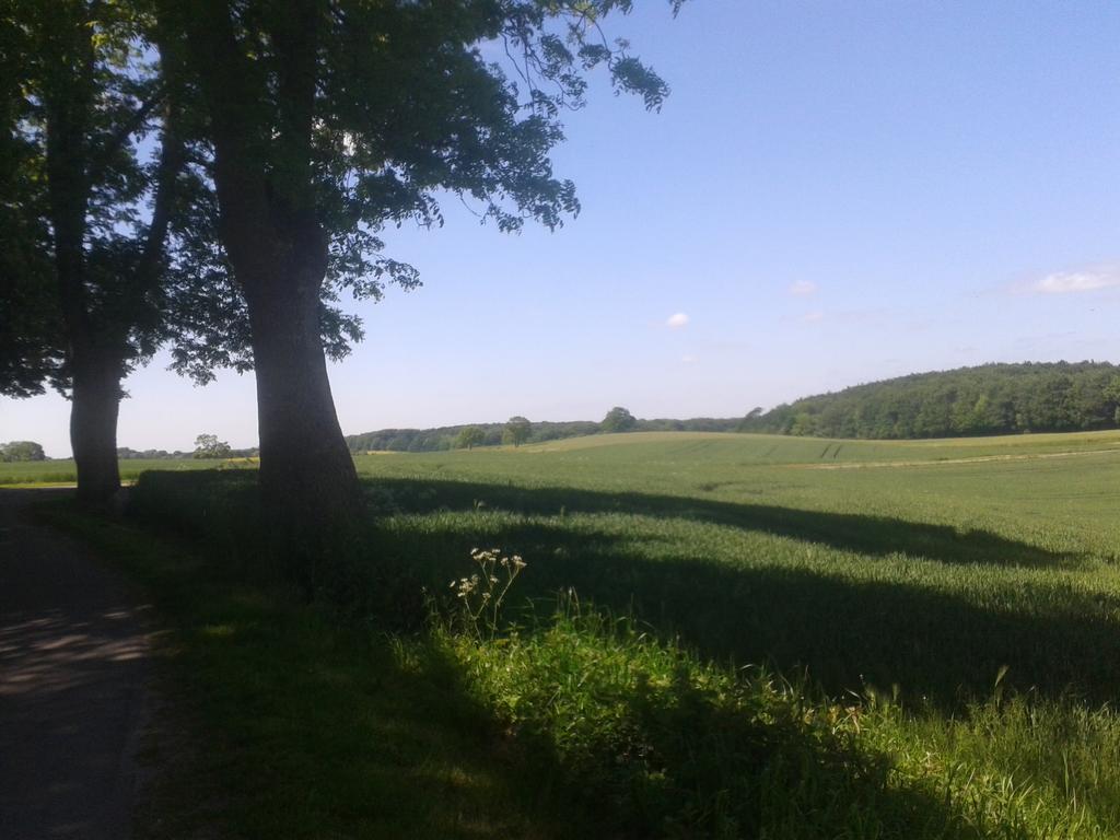 Ostsee Reetkate Langballig Ruang foto